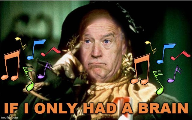 Is Biden fit for office?