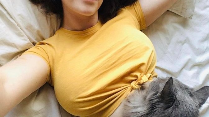 Do you like cats?