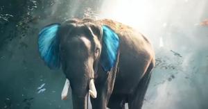 How does this elephant make you feel?