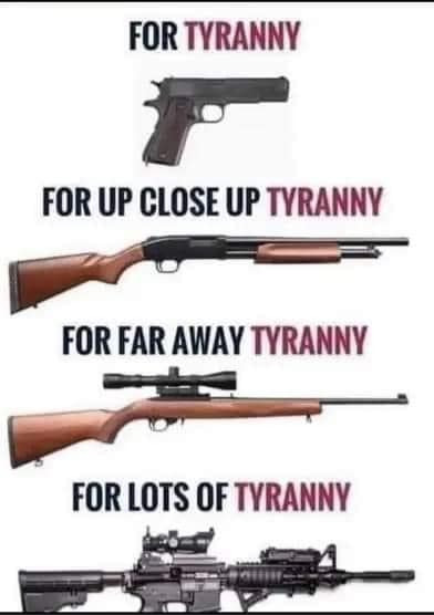 Why are AR15’s necessary?