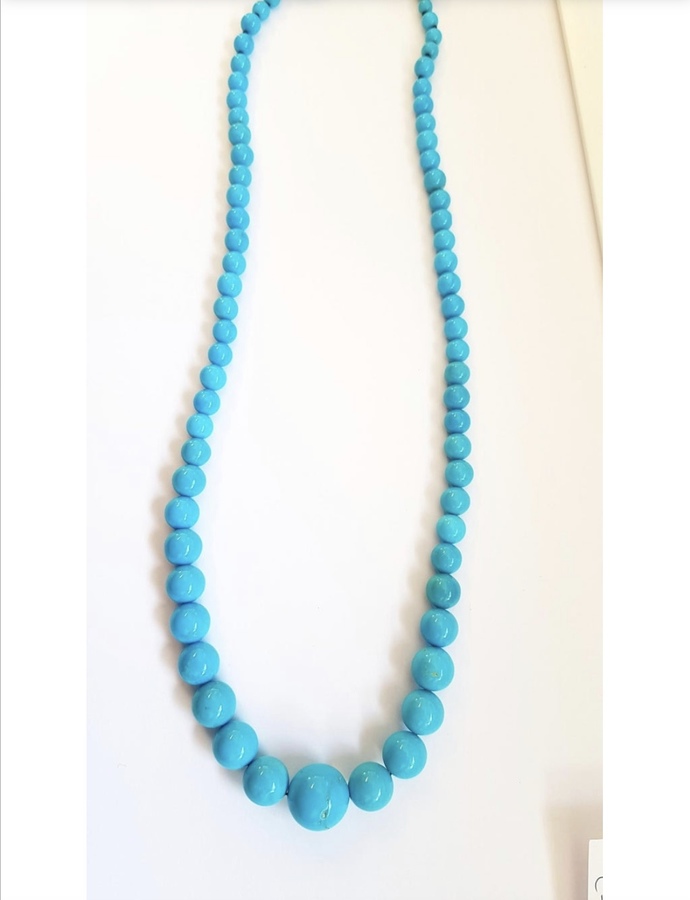 Which one will be your choice ?