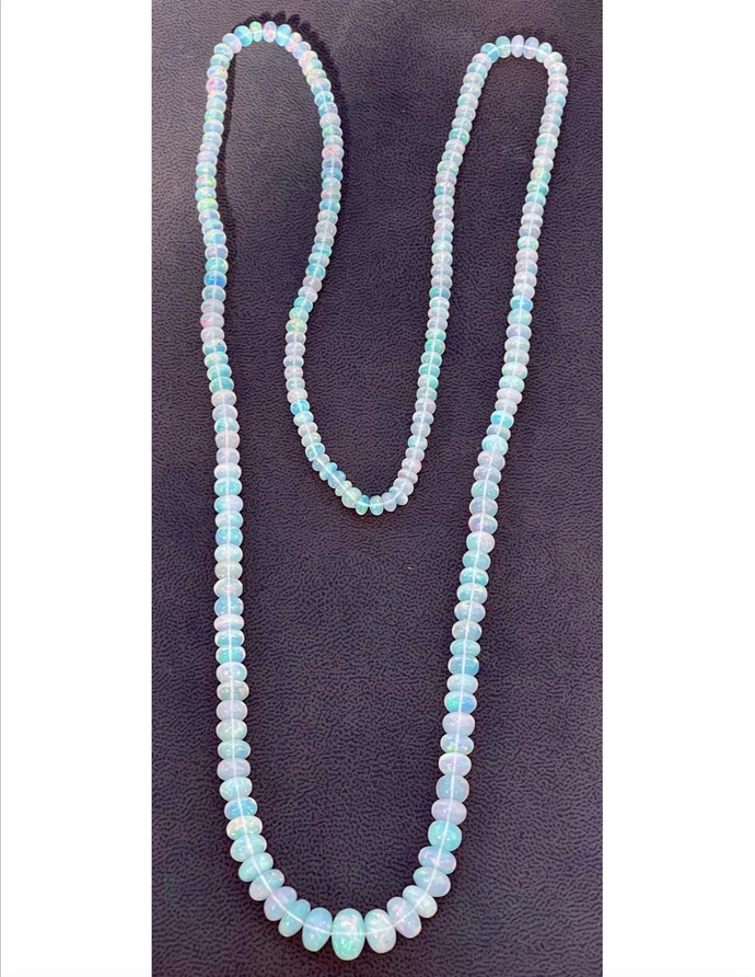 Which one will be your choice ?