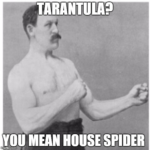 Whats your response when a girl says EEK! Theres a spider! KILL IT!?