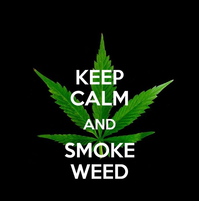 Should the U.S make weed legal?