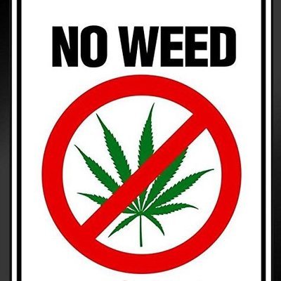 Should the U.S make weed legal?