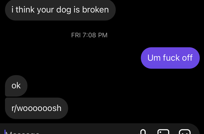 Is what this guy said about my dog rude?