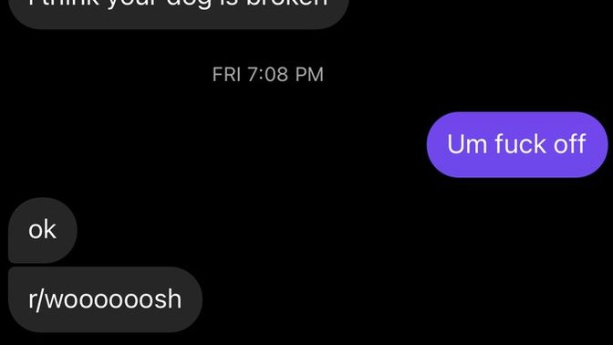 Is what this guy said about my dog rude?
