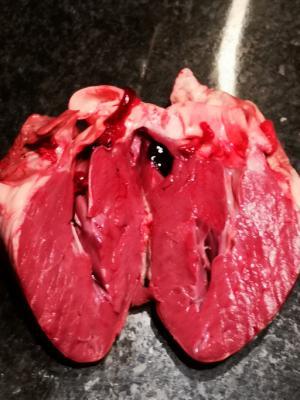 What kind of a heart ❤️ do you have?