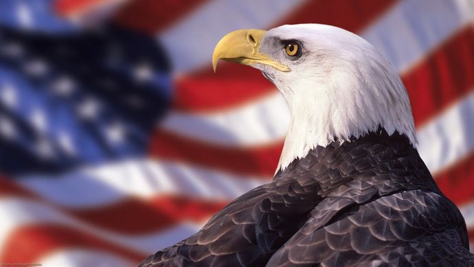 Why does Europe bow down to the USA and follow whatever orders the USA gives?