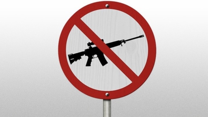 Why are you for more strict gun control laws?