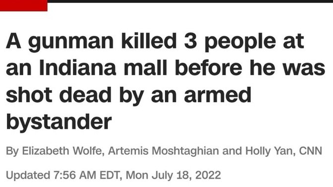 The Greenwood mall shooting, This is why we need guns, do you agree?