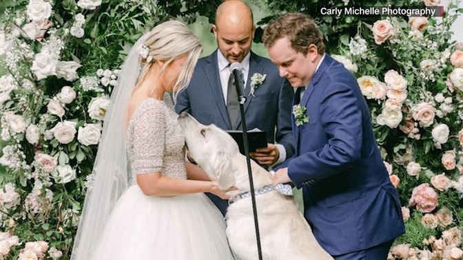 Have you or someone crashed a wedding before?