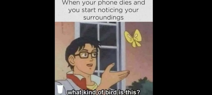 Do you pay much attention to your surroundings when on your phone?