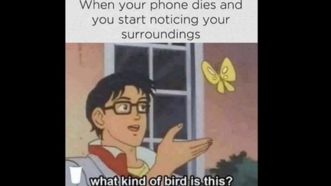 Do you pay much attention to your surroundings when on your phone?