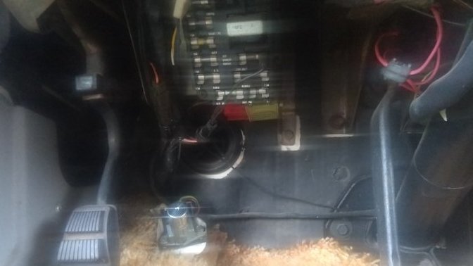 Who knows what this is (look at photographs closely)?