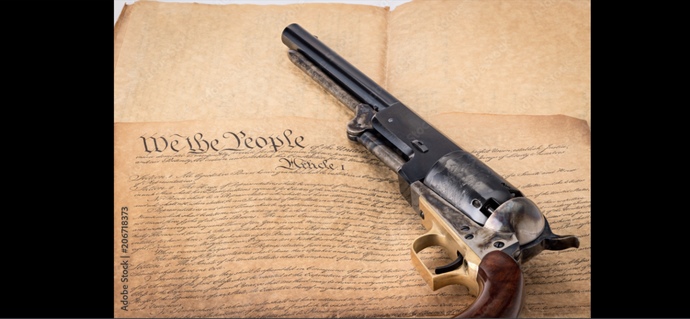 Do you agree that regarding gun control, the more and more the people concede their rights the more the government will demand and take?