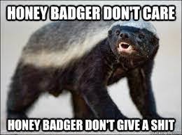 What’s your spirit animal, and why?
