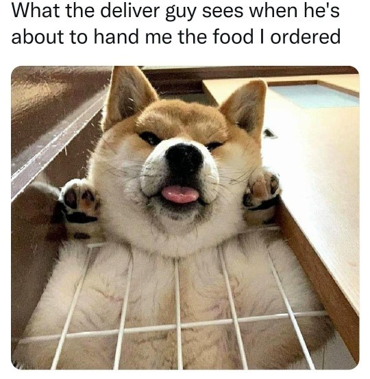 How often do you order take out?