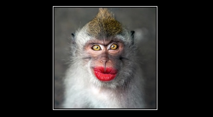 Could you resist this?