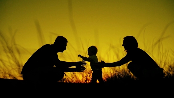 Do you also agree gay surrogacy is selfish and wrong ?