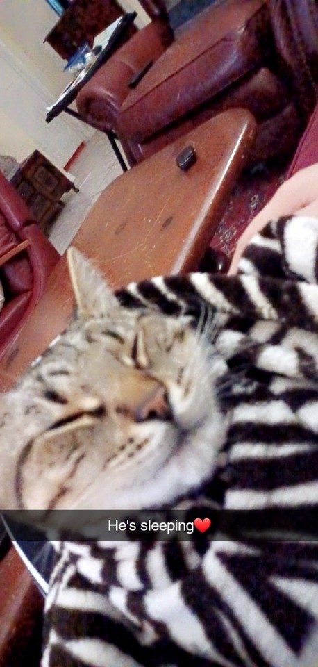 Is this why my cat hates me😅?