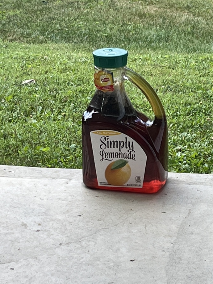 Should I add anything to my sun tea? Or is plain the best. ?