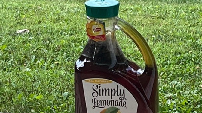 Should I add anything to my sun tea? Or is plain the best. ?
