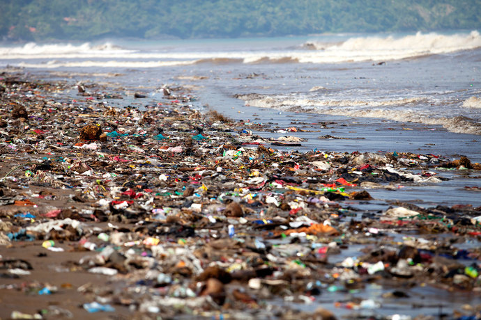 What is the biggest issue currently facing humanity?