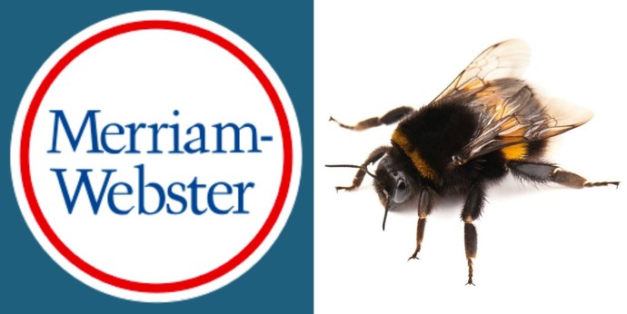 Is Merriam-Webster asserting that fish, bees, kangaroos, and ants all have gender identities in this example?