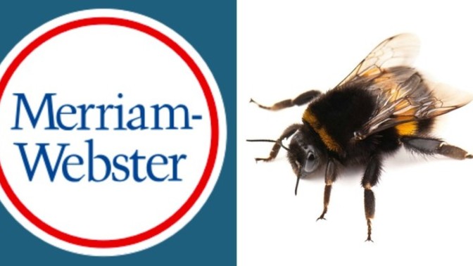 Is Merriam-Webster asserting that fish, bees, kangaroos, and ants all have gender identities in this example?