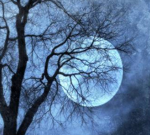 What did I see in the sky last night?