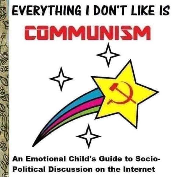 Do you agree with this beautiful Dutch women when she says that feminism is weaponized to bring communism to western countries?