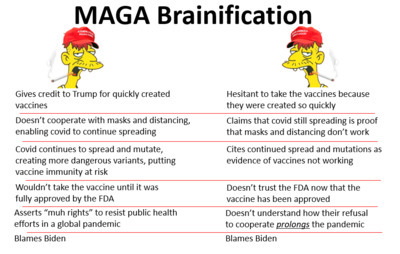Is MAGA Brainification still common in America?