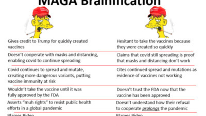 Is MAGA Brainification still common in America?