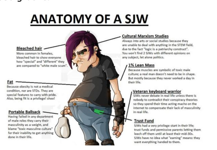 Which of these SJW memes do you like the most?