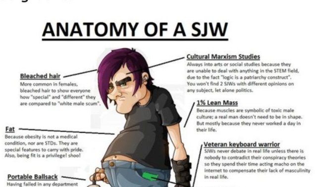 Which of these SJW memes do you like the most?