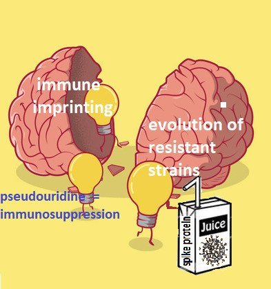 Have we conducted a poll to determine whether political wings and the desire to have a working immune system correlate?