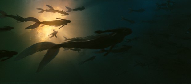 Would you like to be part of the mermaids world?