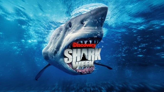 Are you enjoying Shark Week as much as I do?