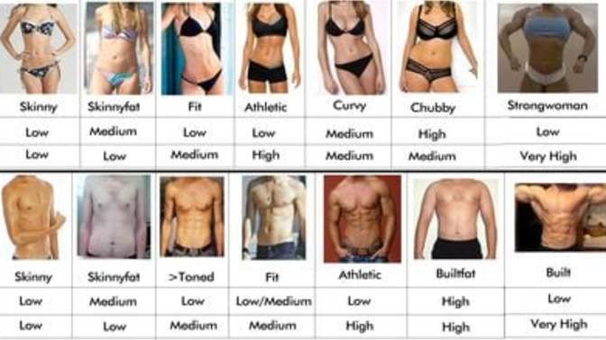 Which body types are you most attractive to?