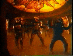 Who do you think is above tigers in the predators list?