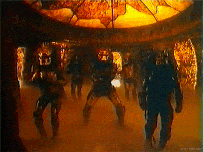 Who do you think is above tigers in the predators list?