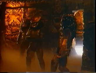 Who do you think is above tigers in the predators list?