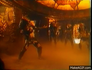 Who do you think is above tigers in the predators list?