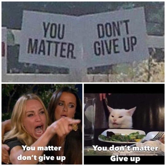 What's your favorite MEME?