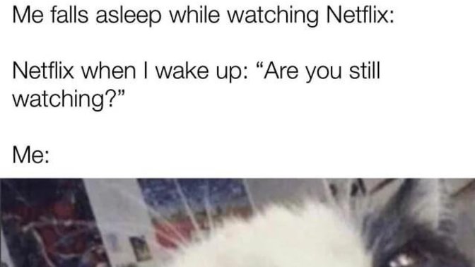 What shows are you watching right now or which shows did you binge watch?
