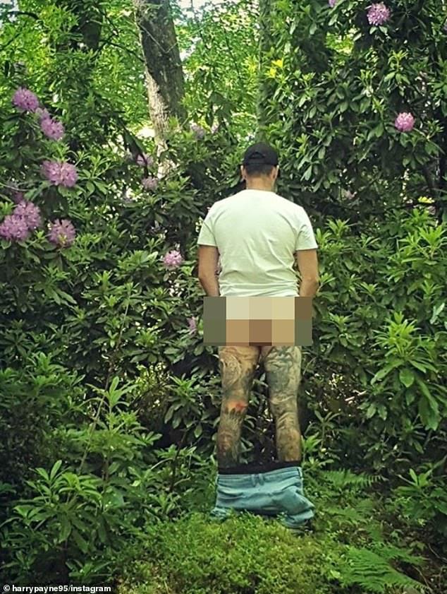 Guys when you go pee, which do you do?