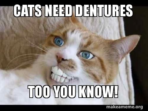 Would you ever try making your own dentures (false teeth)?
