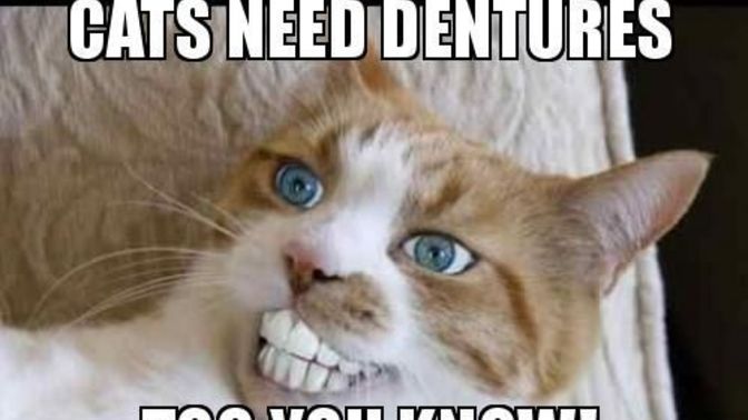 Would you ever try making your own dentures (false teeth)?