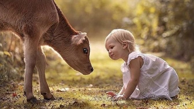 Do you view children as more innocent then adults?